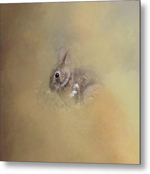 Bunny Metal Print featuring the photograph Bunny Eating Clover by Marjorie Whitley