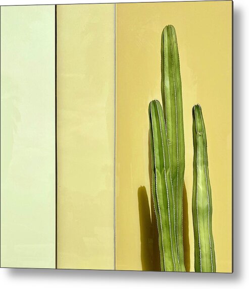  Metal Print featuring the photograph Cactus by Julie Gebhardt