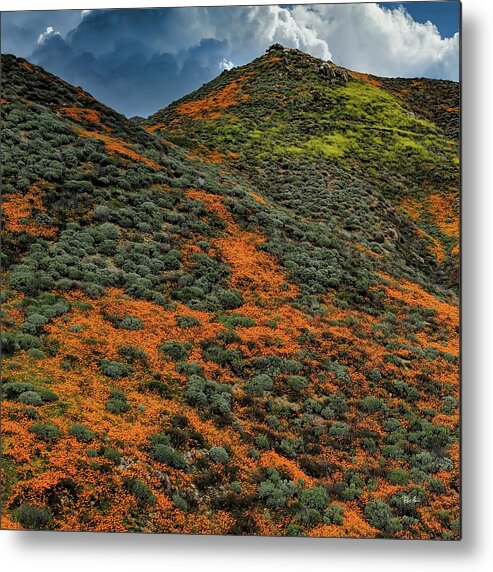 Super Metal Print featuring the photograph California Super Bloom 2019 by Russ Harris