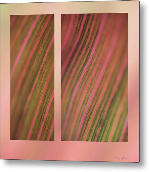 Abstract Metal Print featuring the photograph Canna by Phil And Karen Rispin