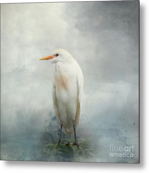 Cattle Egret Metal Print featuring the mixed media Cattle Egret by Eva Lechner