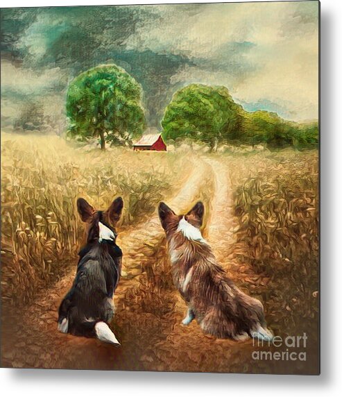 Corgi Metal Print featuring the mixed media Country Welsh Corgis by Kathy Kelly
