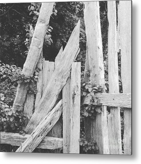 Black And White Metal Print featuring the photograph Don't Fence Me In by Jeff Danos