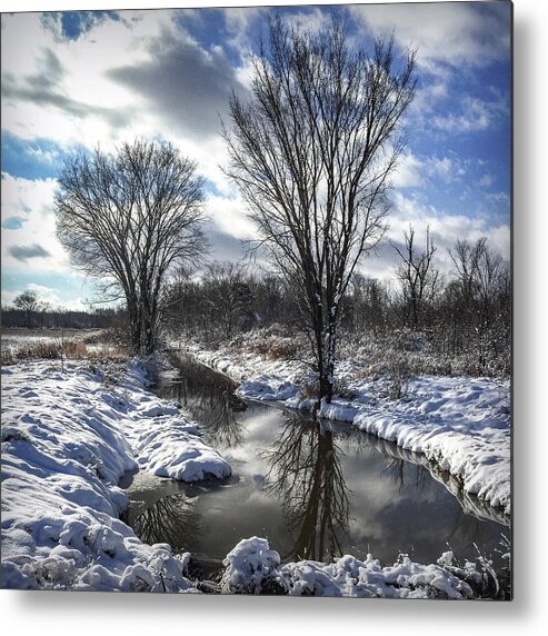 Washington County Metal Print featuring the photograph Early December by Kendall McKernon