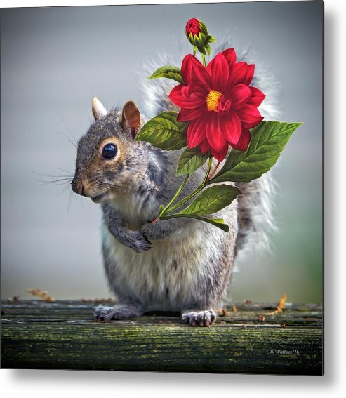 2d Metal Print featuring the photograph Flowers For You by Brian Wallace