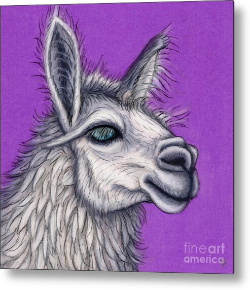 Llama Metal Print featuring the painting Fluffy White Llama by Amy E Fraser