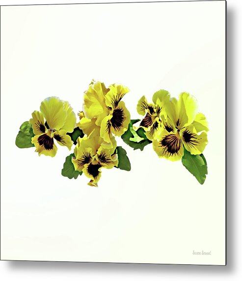 Pansy Metal Print featuring the photograph Frilly Yellow Pansies by Susan Savad