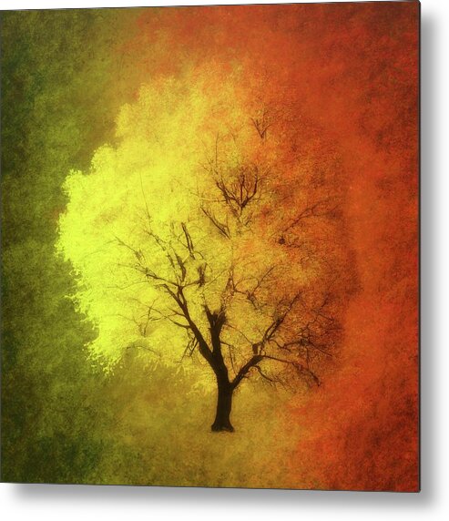 Summer Metal Print featuring the photograph From Summer To Fall by James DeFazio