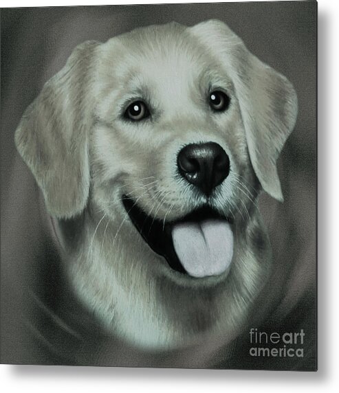 Golden Retriever Metal Print featuring the painting Golden Retriever mmhj by Gull G