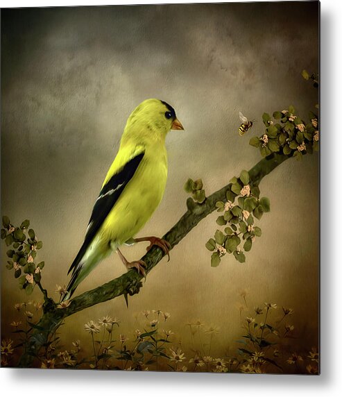 Goldfinch Metal Print featuring the digital art Goldfinch and the Bee by Maggy Pease