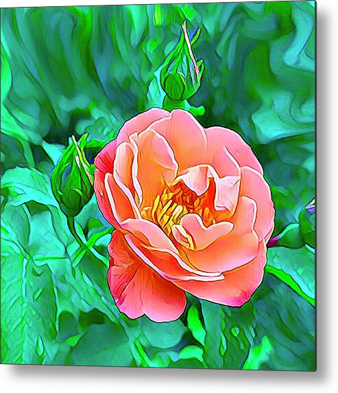 Flowers Metal Print featuring the digital art Gorgeous Rose by Nancy Olivia Hoffmann