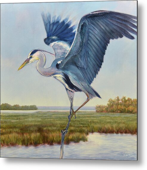 Great Blue Heron Painting Marsh Coast Coastal Green Tide Creek Wings Taking Flight Dancing For Dinner Balancing Act Stick Legs Wing Beat Light As Air Metal Print featuring the painting Great Blue by Pam Talley