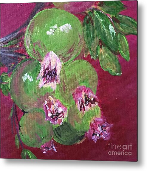 Fruit Stilllife Nature Pomegrates Painting Green Pink Metal Print featuring the painting Green Pomegrantes by Debora Sanders