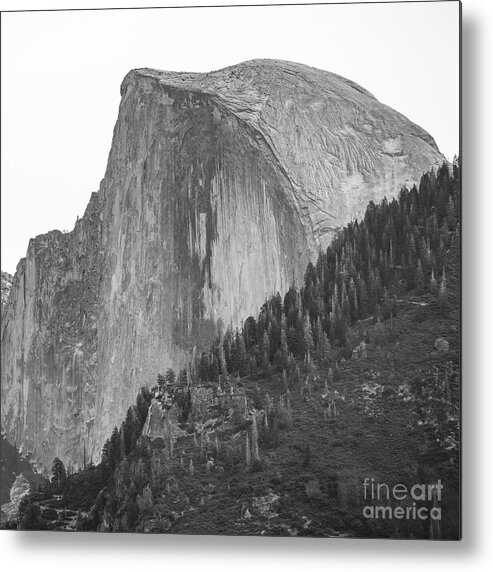 Half Dome And Four Mile Trail Black And White Metal Print featuring the photograph Half Dome and Four Mile Trail Black and White by Dustin K Ryan