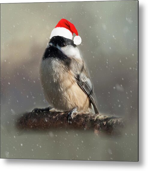 Song Bird Metal Print featuring the photograph Holiday Chicadee by Cathy Kovarik
