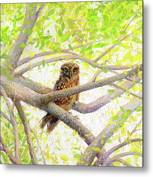 Iris Scott Metal Print featuring the painting Indian Owl Spotted by Iris Scott
