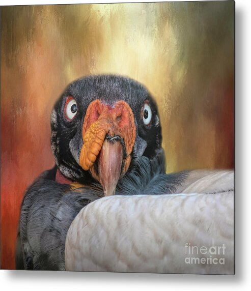 King Vulture Metal Print featuring the mixed media King Vulture by Elisabeth Lucas