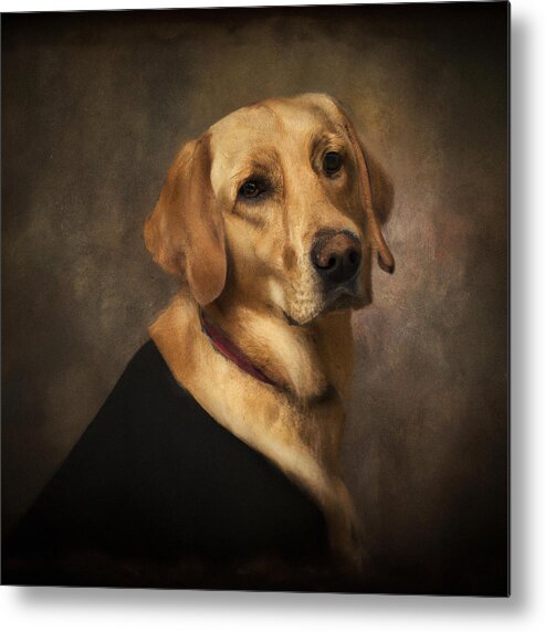 Labrador Retriever Metal Print featuring the digital art Labrador Retriever by Tinto Designs