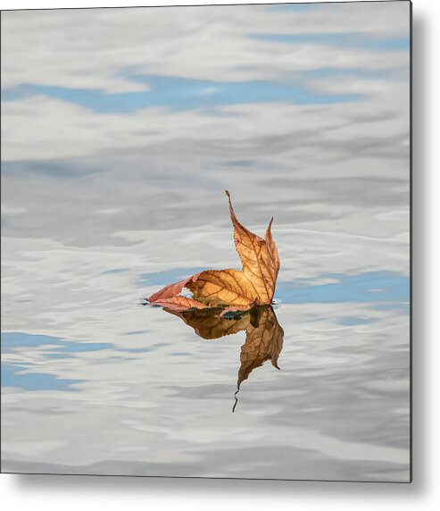 Evergreen Lake Metal Print featuring the photograph Leaf on Water by Ray Silva