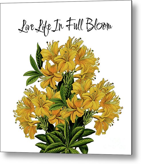 Life Quotes Metal Print featuring the mixed media Live Life In Full Bloom 2 by Tina LeCour
