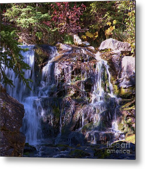 Waterfall Metal Print featuring the photograph Lost Creek Waterfall by Kae Cheatham