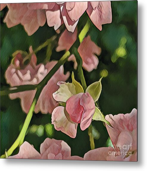 Roses Metal Print featuring the photograph Miniflora by Jodie Marie Anne Richardson Traugott     aka jm-ART