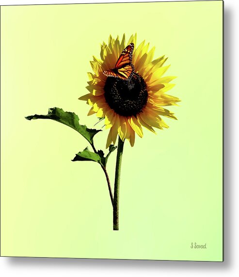 Sunflower Metal Print featuring the photograph Monarch Butterfly on Sunflower by Susan Savad