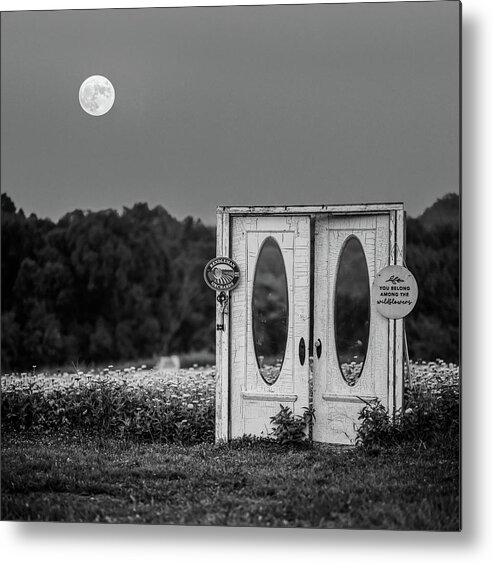 White Zinnia Metal Print featuring the photograph Moonflower by Grant Twiss