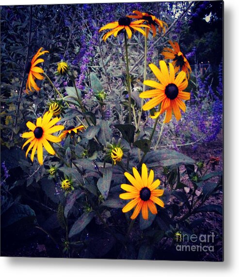 Floral Metal Print featuring the photograph Morning Joy by Frank J Casella by Frank J Casella