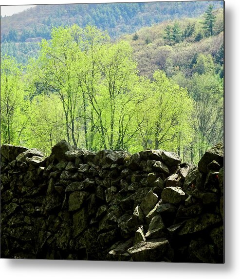 Rock Wall Metal Print featuring the photograph Morning Light by Catherine Arcolio