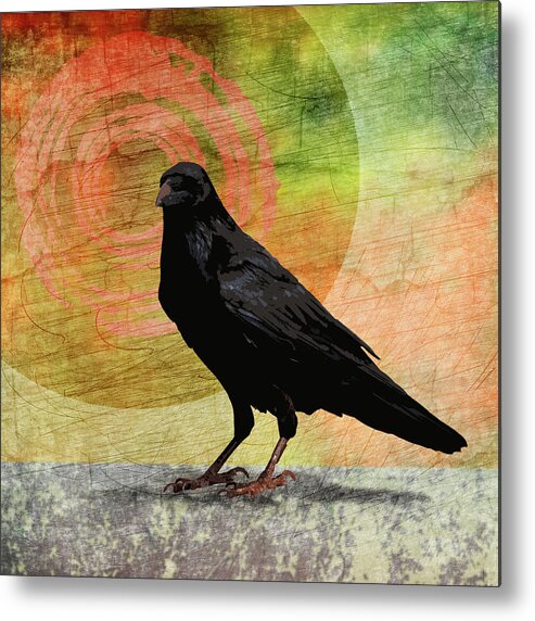 Raven Metal Print featuring the mixed media Morning Raven by Nancy Merkle