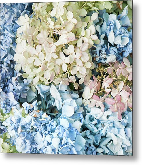 Hydrangea Metal Print featuring the photograph Multi Colored Hydrangea by Theresa Tahara