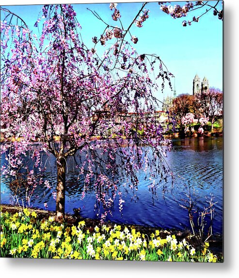 Spring Metal Print featuring the photograph Newark NJ - Branch Brook Park in Spring by Susan Savad