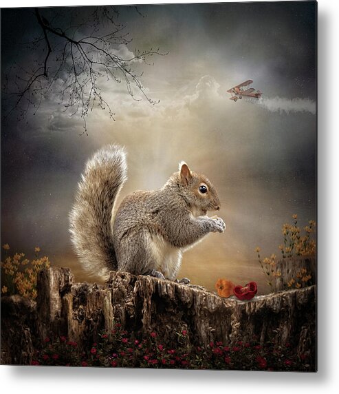 Squirrel Metal Print featuring the digital art Nibbles by Maggy Pease