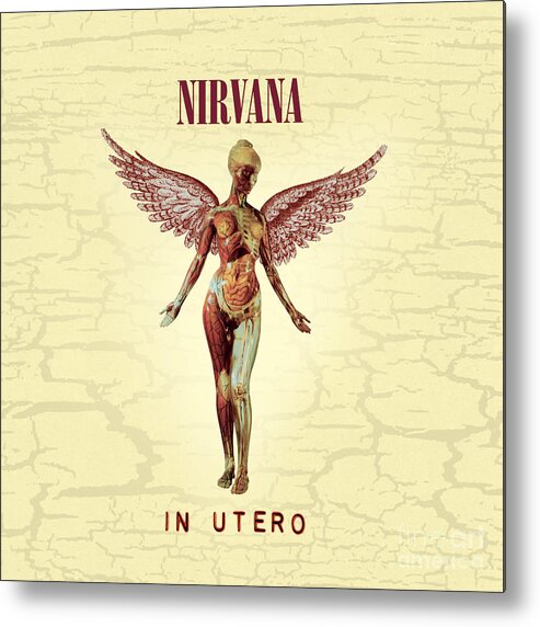 Nirvana Metal Print featuring the photograph Nirvana Utero album cover by Action