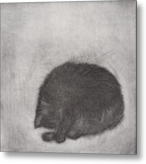 Cat Metal Print featuring the drawing Nonchaloir - etching by David Ladmore