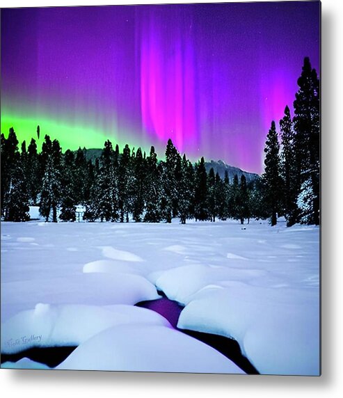Aurora Metal Print featuring the digital art Northern Lights No.23 by Fred Larucci
