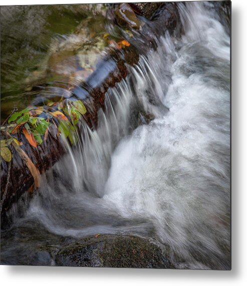 Olema Creek Metal Print featuring the photograph Olema Creek, West Marin by Donald Kinney