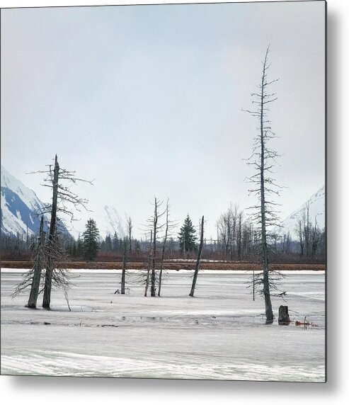 Alaska Metal Print featuring the photograph Only In Alaska 11 by Robert Fawcett