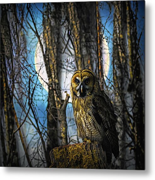 Animals Metal Print featuring the photograph Owl in the Forest Painting by Debra and Dave Vanderlaan