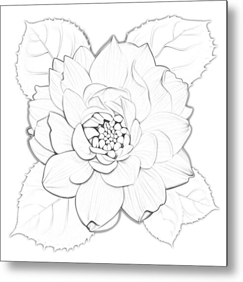 Paint A Sketch Metal Print featuring the digital art Paint A Sketch Rose with Leaves by Delynn Addams