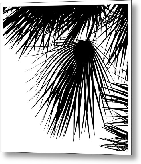 Photography Metal Print featuring the photograph Palm-tree-silhouette-4 by Fei A