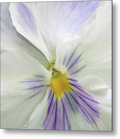 Flower Metal Print featuring the photograph Pansy Macro by Cathy Kovarik