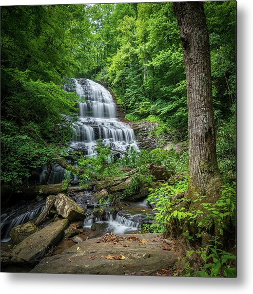 Landscapes Metal Print featuring the photograph Pearson Falls by Bill Martin