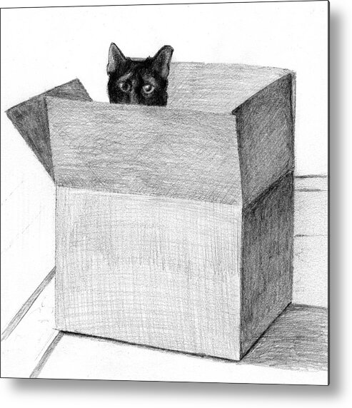 Cat Metal Print featuring the drawing Peeking out of the box by Tim Murphy