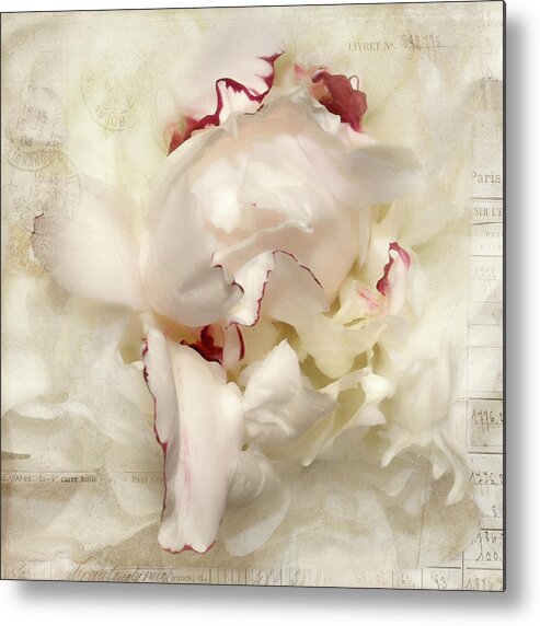 Flower Metal Print featuring the photograph Peony - French Papers by Karen Lynch