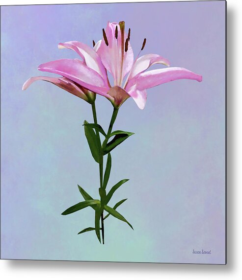Lily Metal Print featuring the photograph Pink Lily Pair by Susan Savad