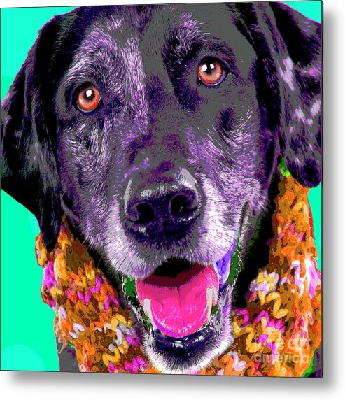 Dogs Metal Print featuring the photograph PopArt Dapple Lab by Renee Spade Photography