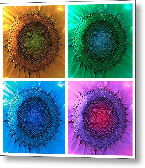 Richard Reeve Metal Print featuring the photograph Psychedelic Sunflowers by Richard Reeve