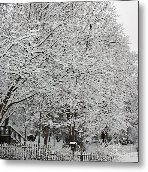 Landscape Photography Metal Print featuring the photograph Purity of Snow - Square by Frank J Casella